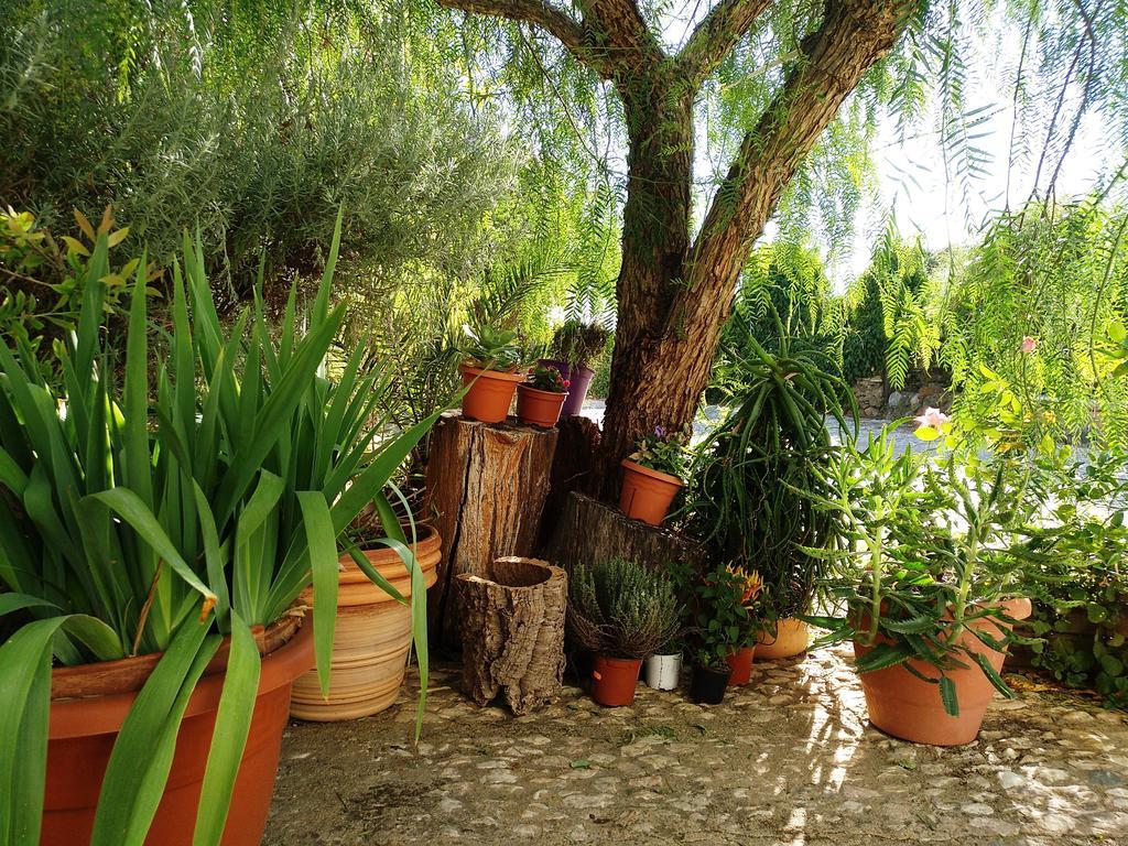 Casa Con Encanto En Alájar Buitenkant foto